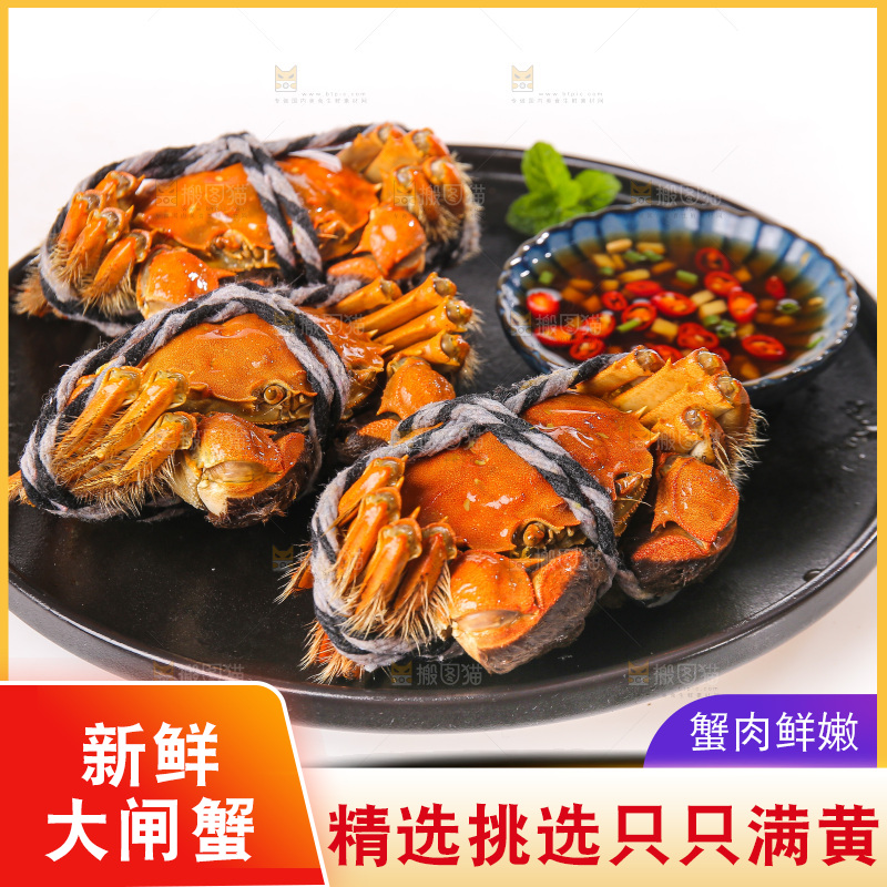 白底上的大闸蟹