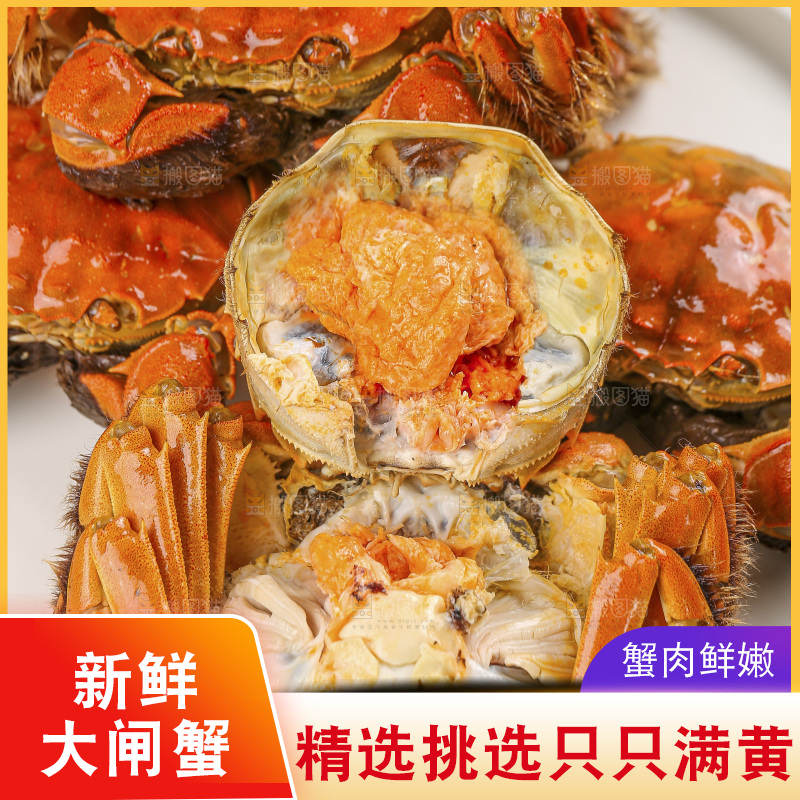 浅底上的大闸蟹