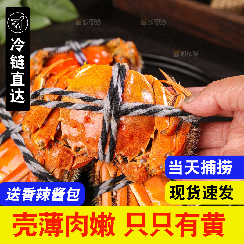 深底上的大闸蟹