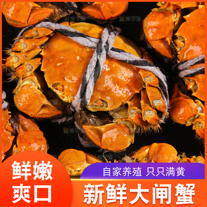 深底上的大闸蟹