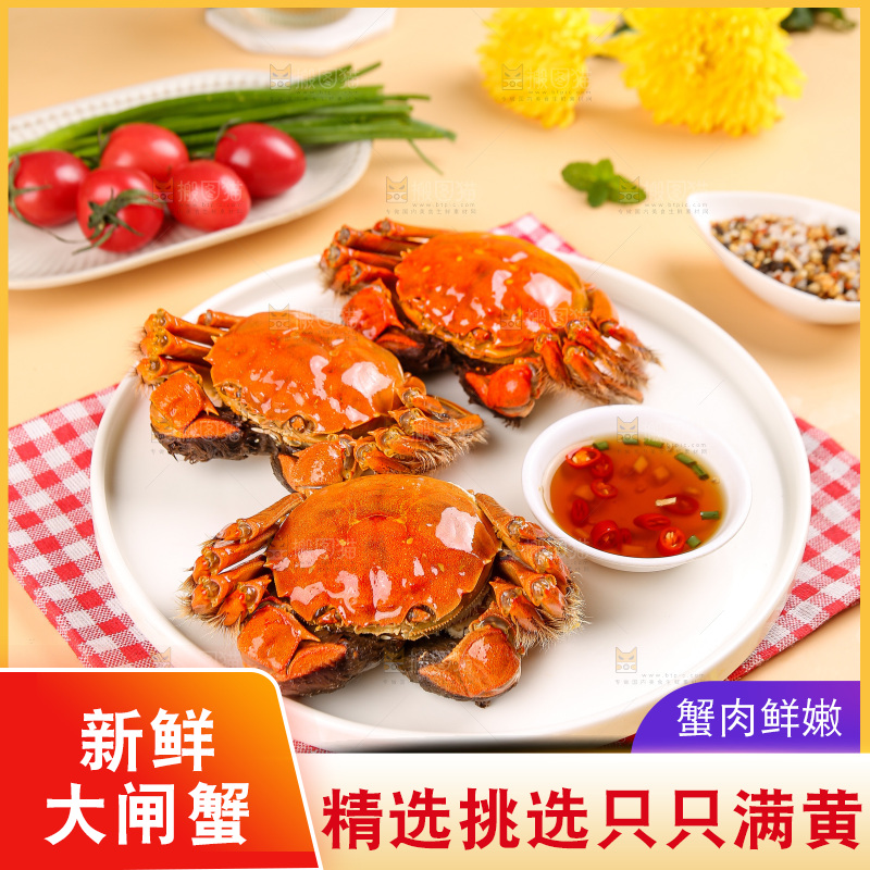 浅底上的大闸蟹