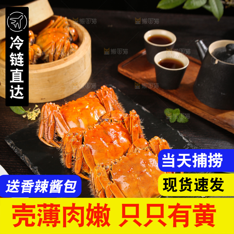 深底上的大闸蟹