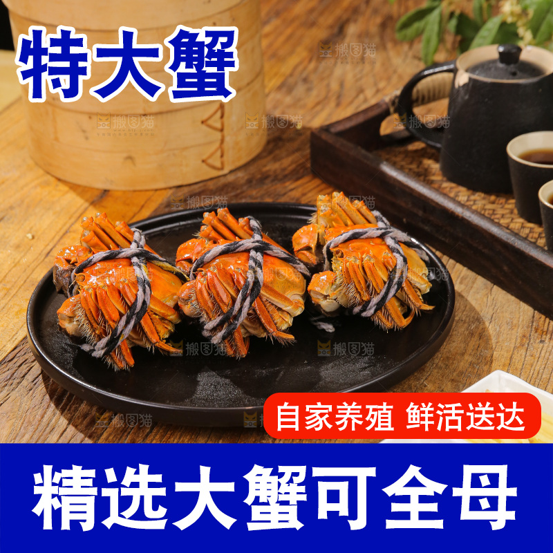 深底上的大闸蟹