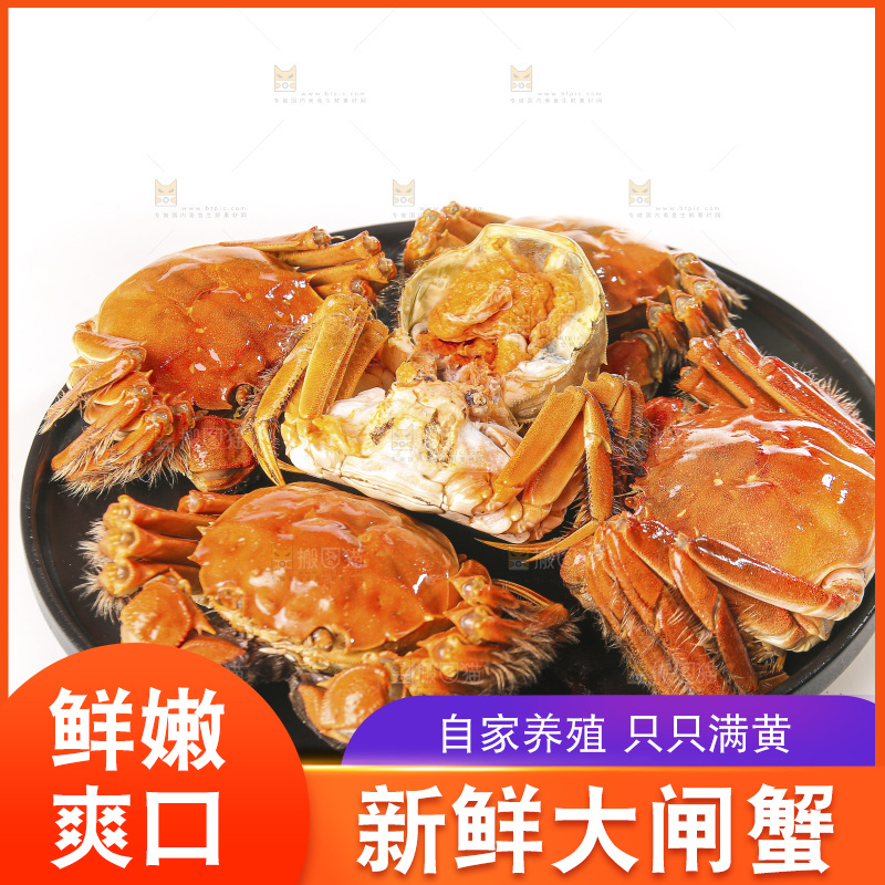白底上的大闸蟹