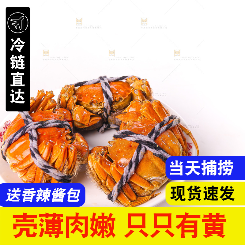 白底上的大闸蟹