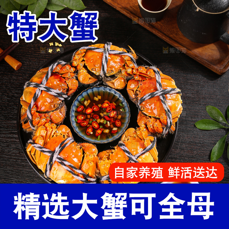 深底上的大闸蟹