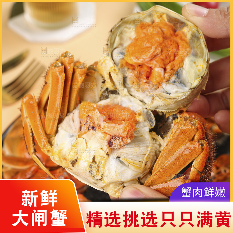 浅底上的大闸蟹