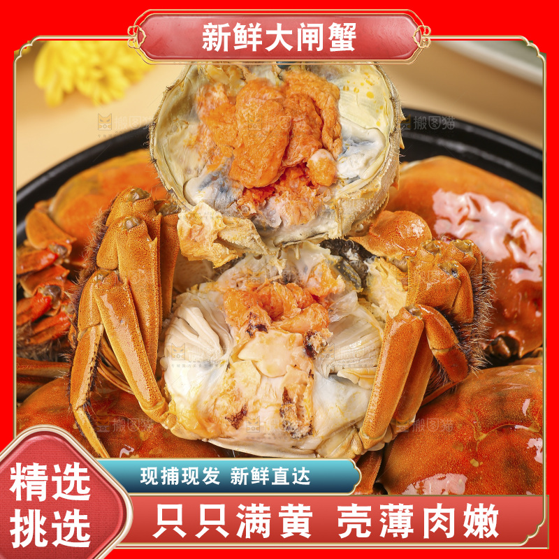 浅底上的大闸蟹