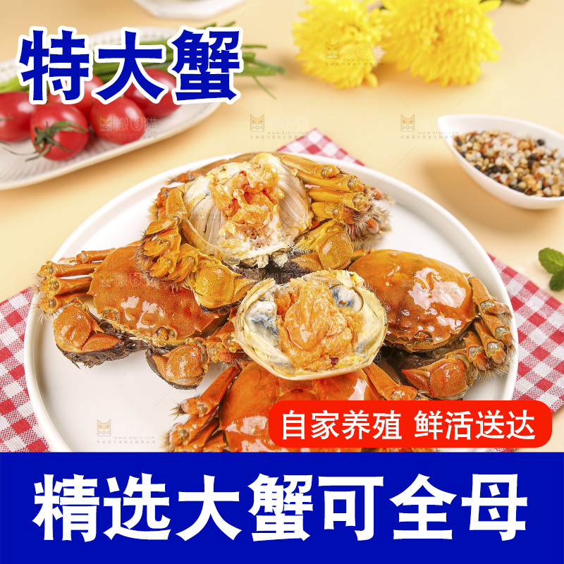浅底上的大闸蟹