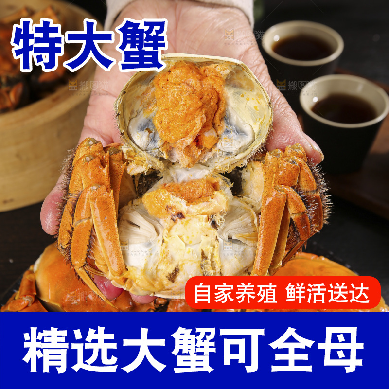 深底上的大闸蟹