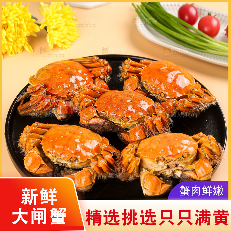 浅底上的大闸蟹