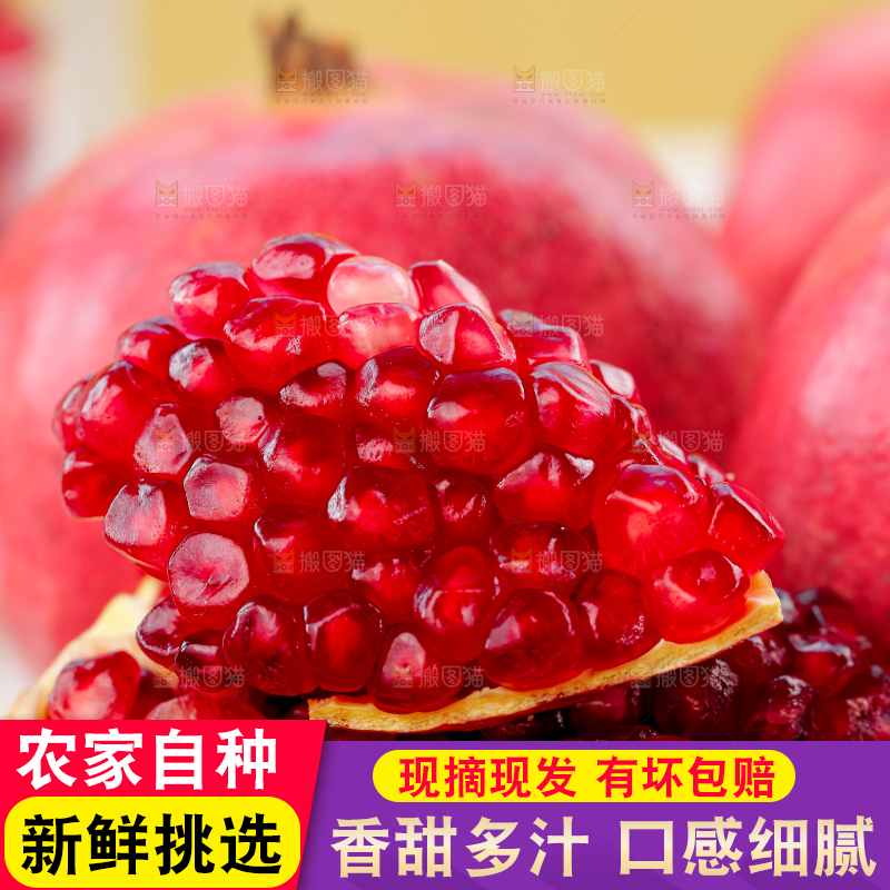 浅底上的盐水石榴