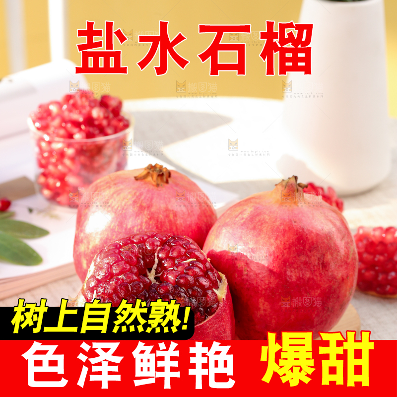 浅底上的盐水石榴