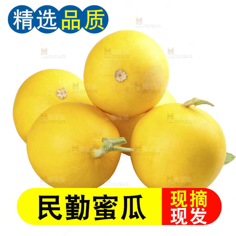 白底上的民勤蜜瓜