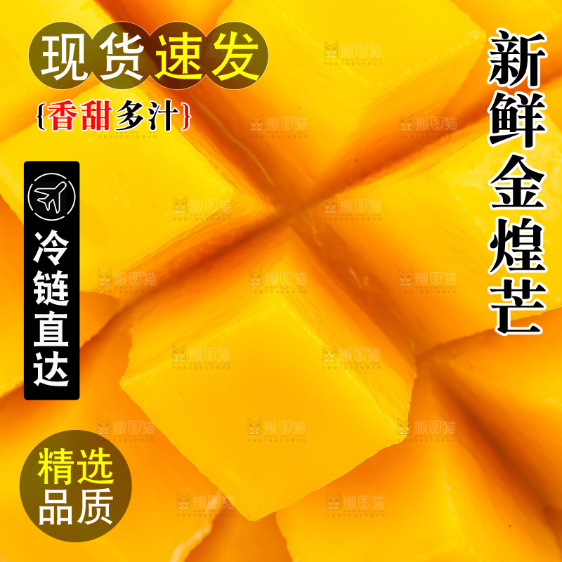 白底上的金煌芒