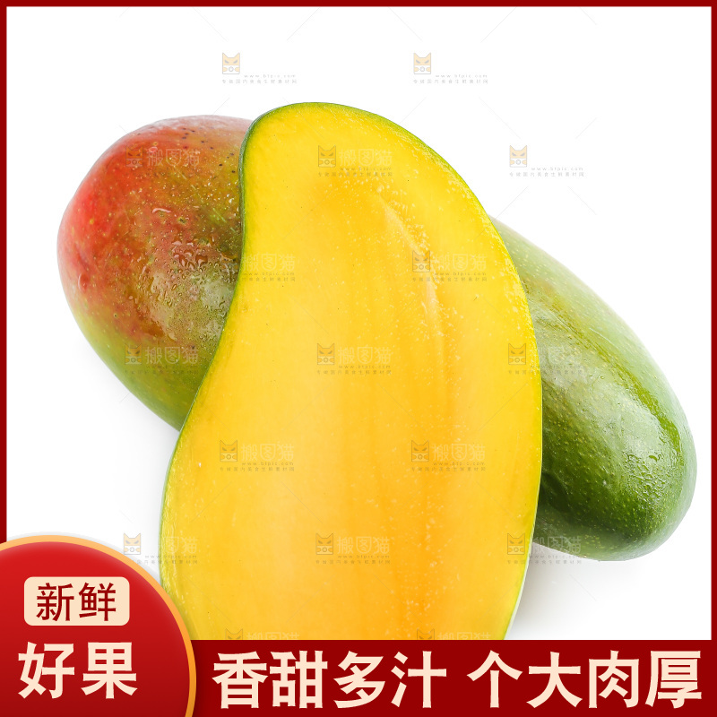 白底上的桂七芒