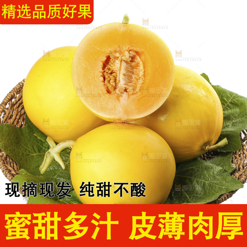白底上的民勤蜜瓜