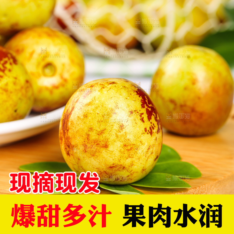 浅底上的冬枣