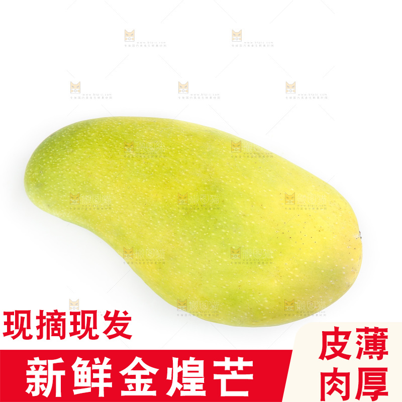 白底上的金煌芒
