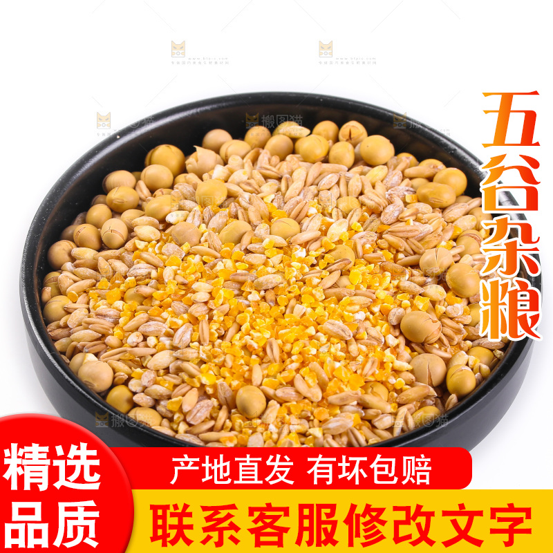白底上的杂粮豆浆