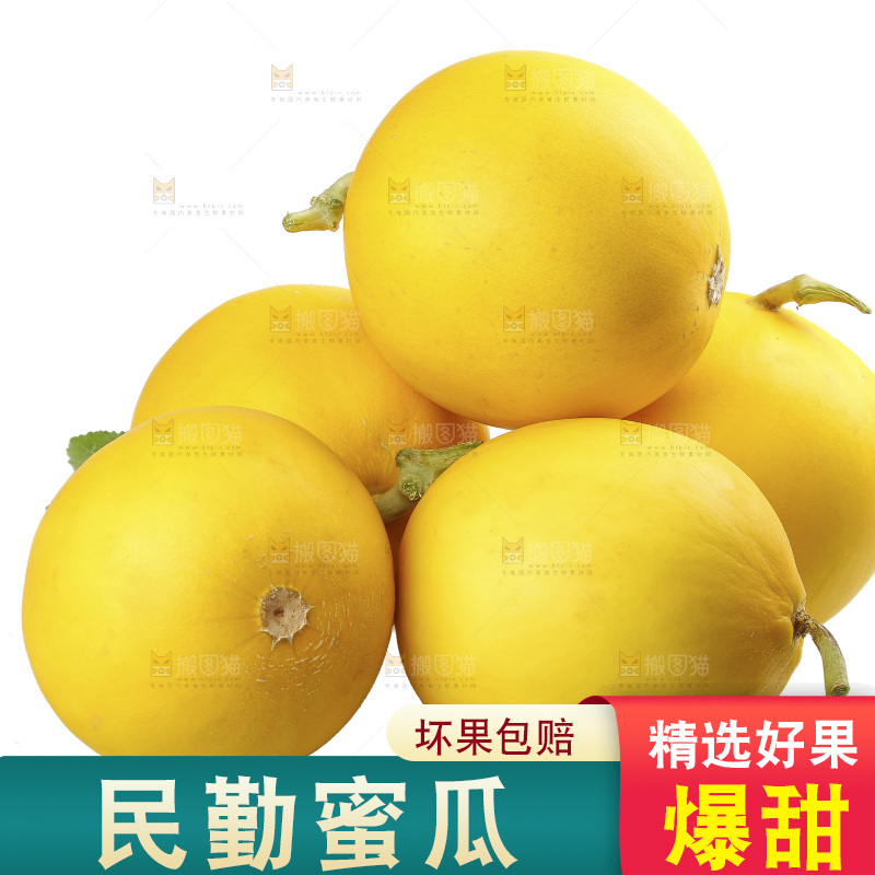 白底上的民勤蜜瓜