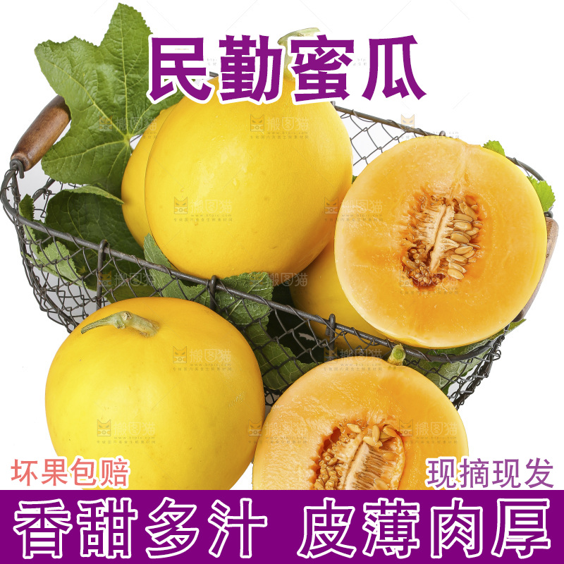 白底上的民勤蜜瓜