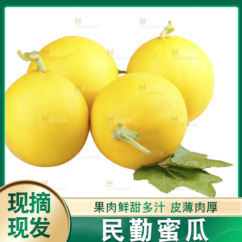 白底上的民勤蜜瓜