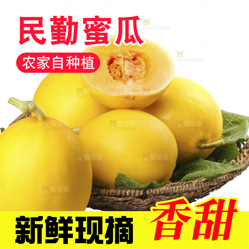 白底上的民勤蜜瓜