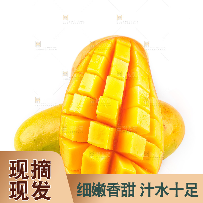 白底上的金煌芒