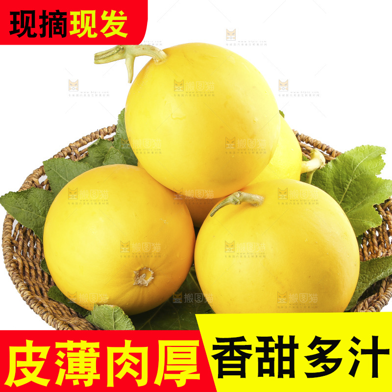 白底上的民勤蜜瓜
