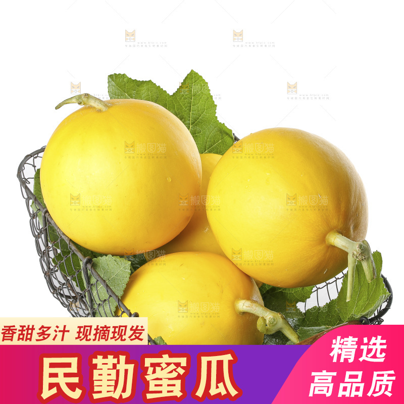 白底上的民勤蜜瓜
