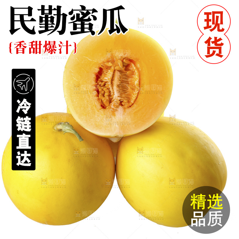 白底上的民勤蜜瓜