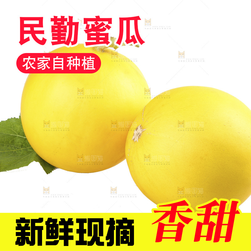 白底上的民勤蜜瓜
