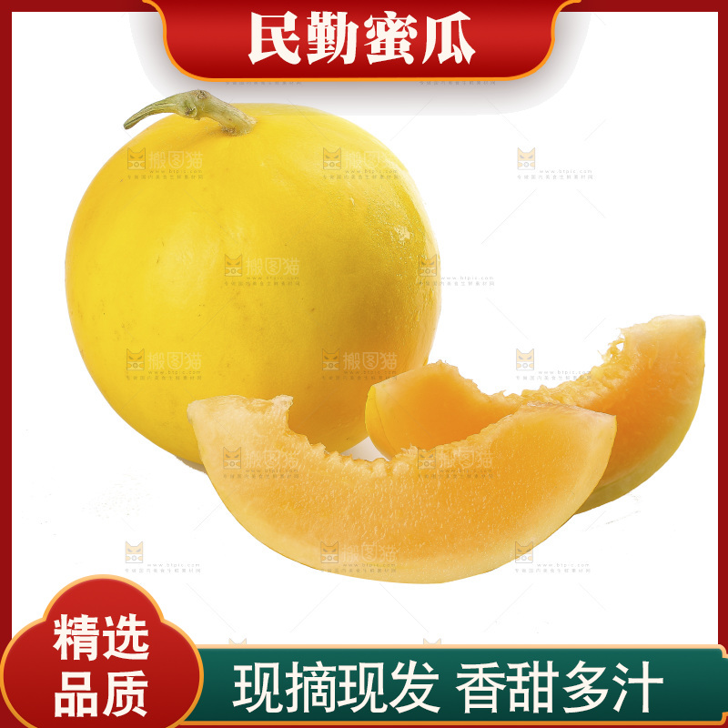 白底上的民勤蜜瓜