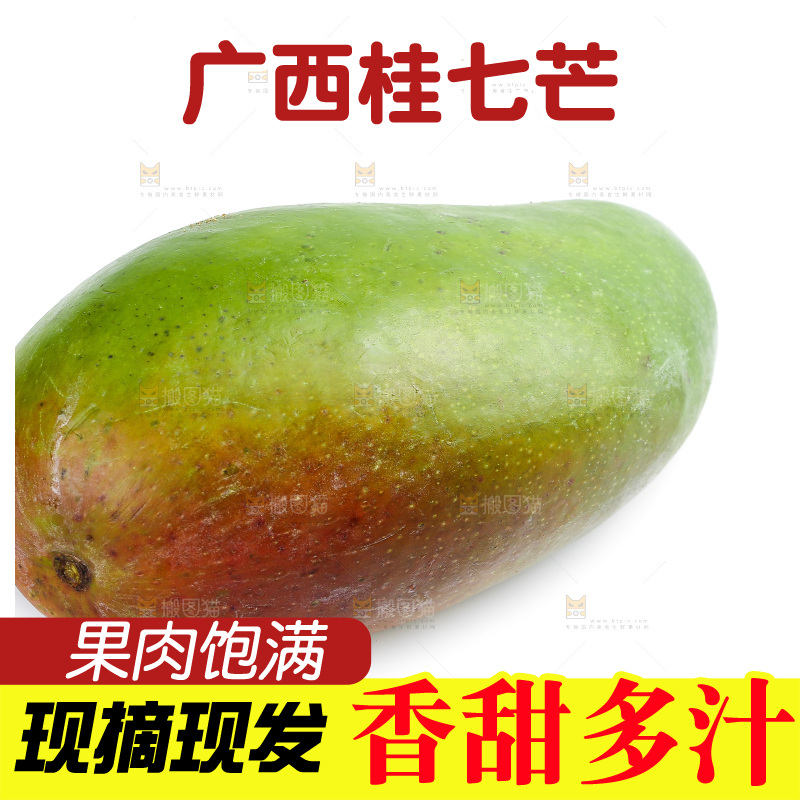白底上的桂七芒