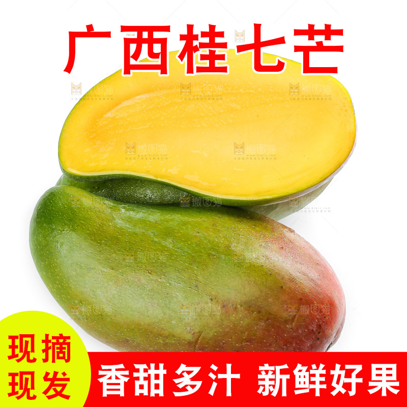 白底上的桂七芒