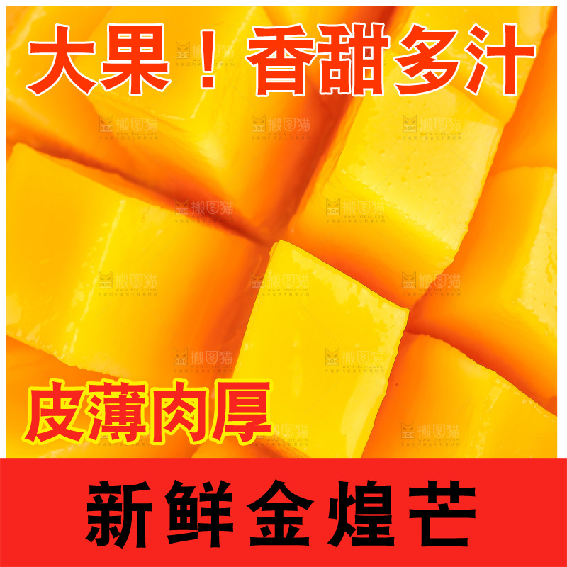 白底上的金煌芒