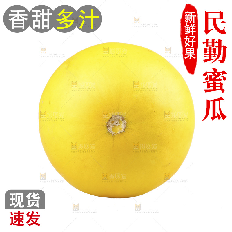白底上的民勤蜜瓜