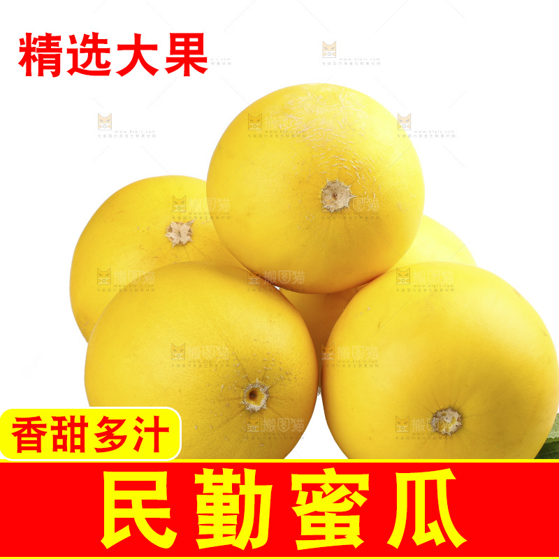 白底上的民勤蜜瓜
