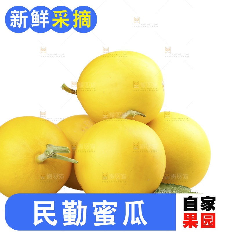 白底上的民勤蜜瓜