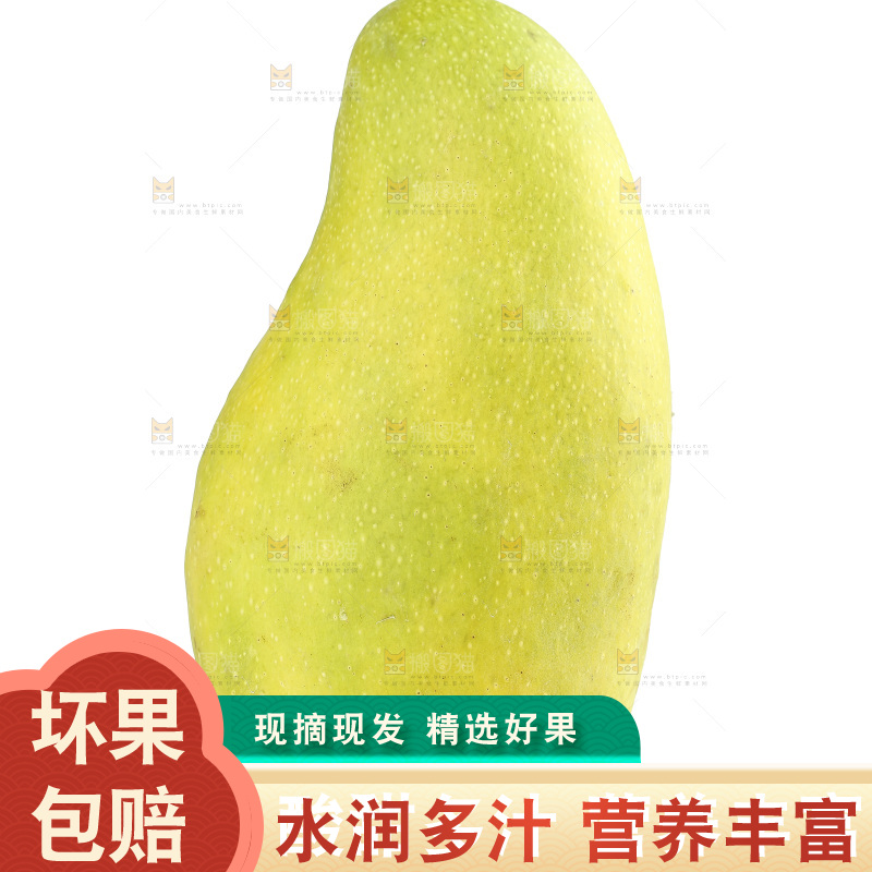 白底上的金煌芒