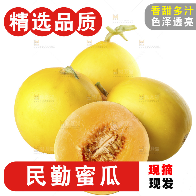 白底上的民勤蜜瓜