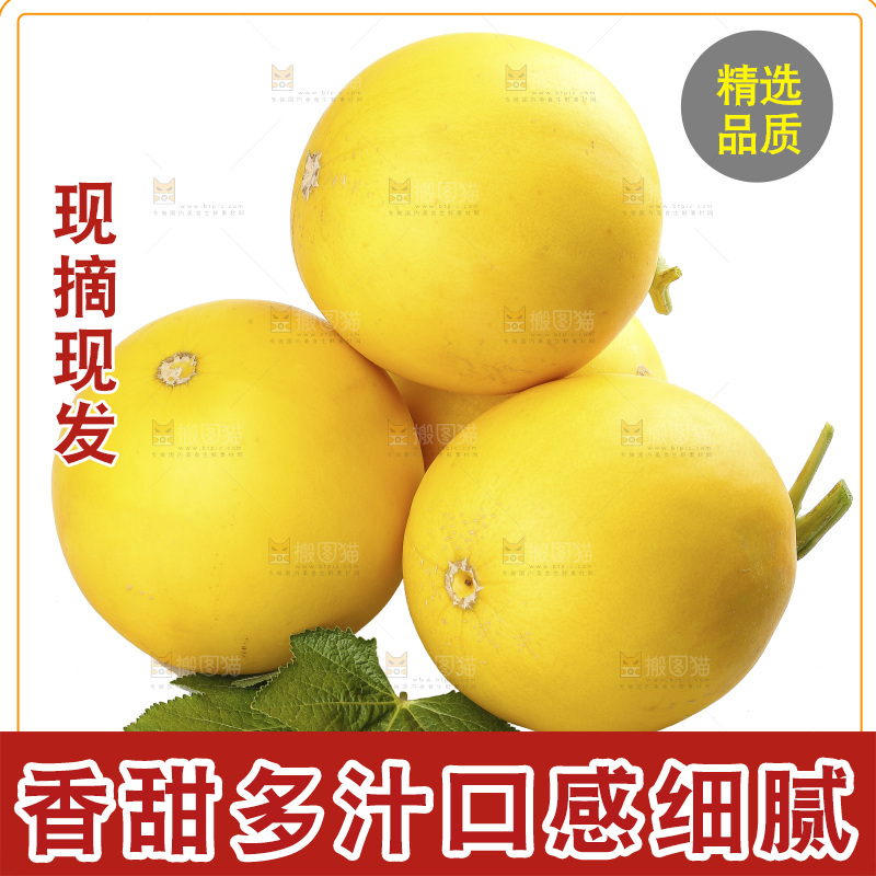 白底上的民勤蜜瓜