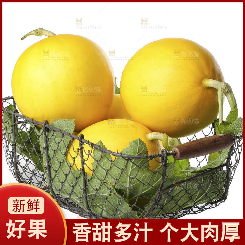 白底上的民勤蜜瓜