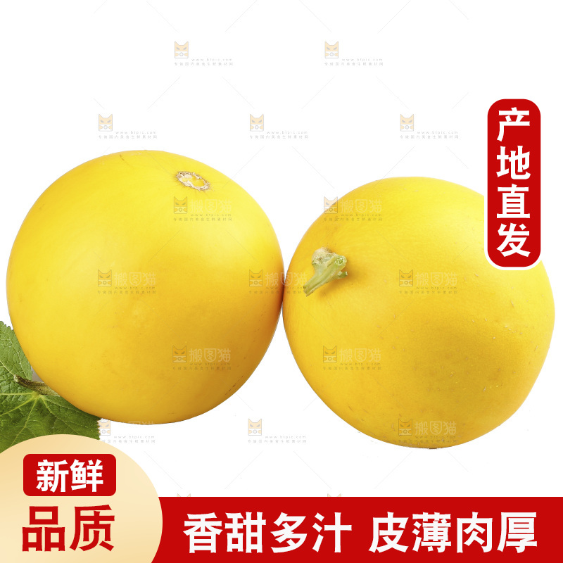 白底上的民勤蜜瓜