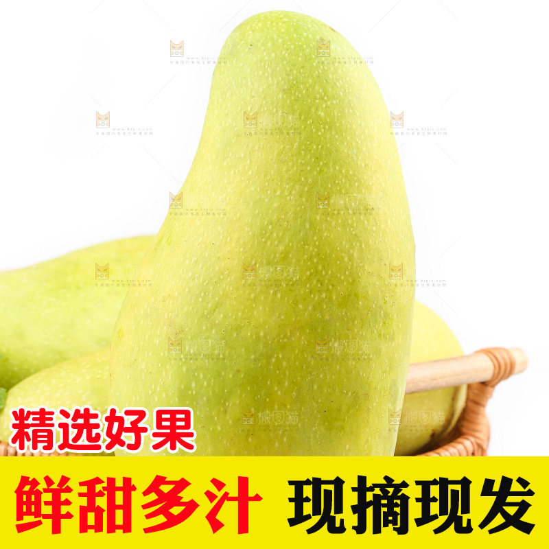 白底上的金煌芒