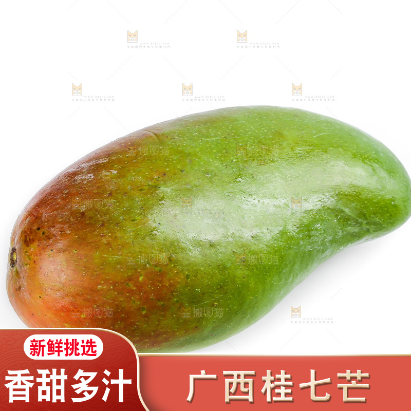 白底上的桂七芒