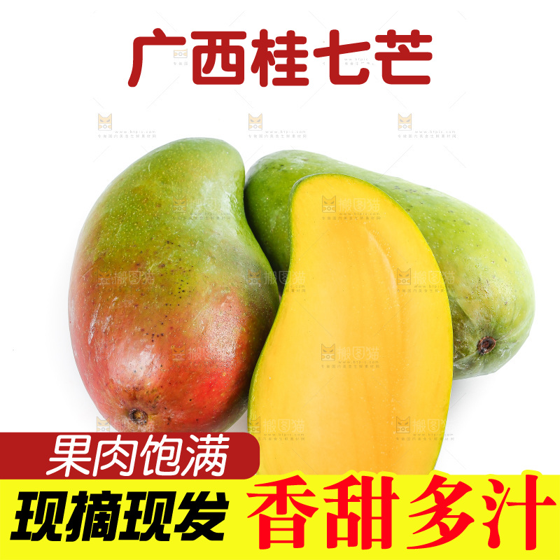 白底上的桂七芒