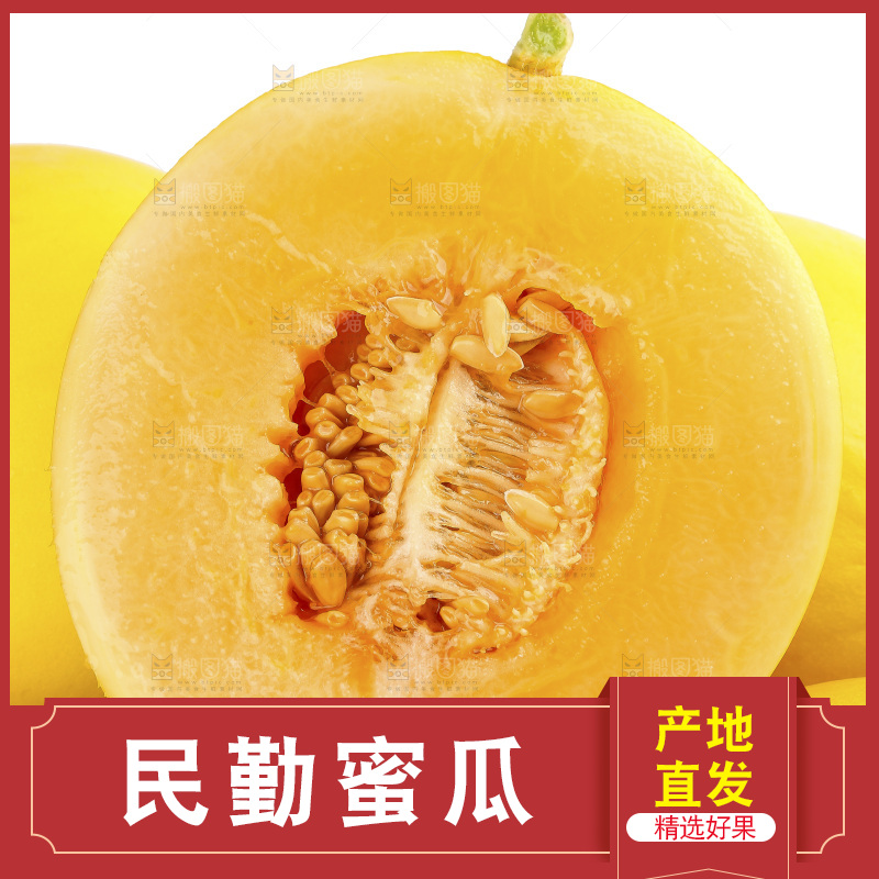 白底上的民勤蜜瓜