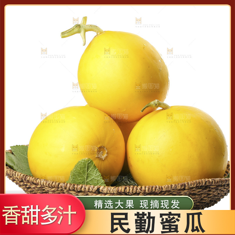 白底上的民勤蜜瓜